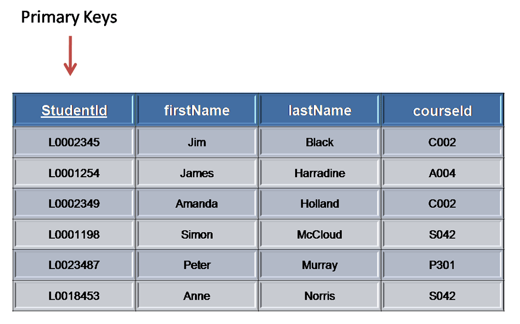 what is primary key in database give an example